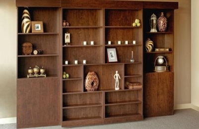 Library Murphy Beds in Daytona Beach, FL _ Stylish Space-Saving Solutions