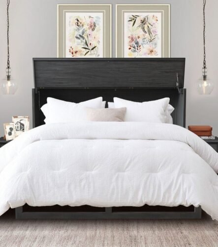 Cabinet Bed