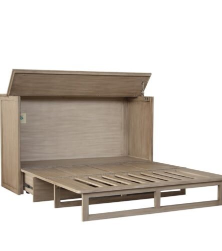 Cabinet Bed